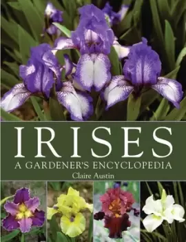 Image of Irises by Claire Austin