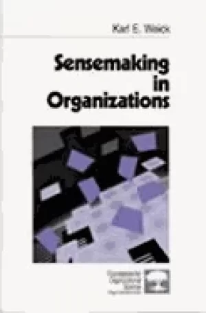 Image of sensemaking in organizations