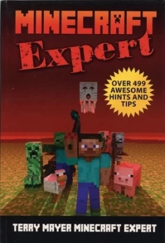 Image of Minecraft Expert Book