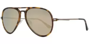 image of Pepe Jeans Sunglasses PJ7357 C2