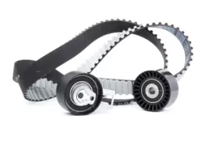 Image of RIDEX Timing belt kit 307T0198 Timing belt set,Cam belt kit FORD,FIAT,PEUGEOT,Fiesta Mk6 Schragheck (JA8, JR8),FOCUS III Turnier
