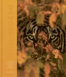 Image of Camouflage : 100 Masters of Disguise from the Animal Kingdom