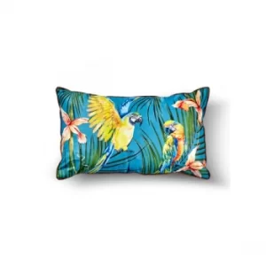 image of YST0068 Multicolor Cushion