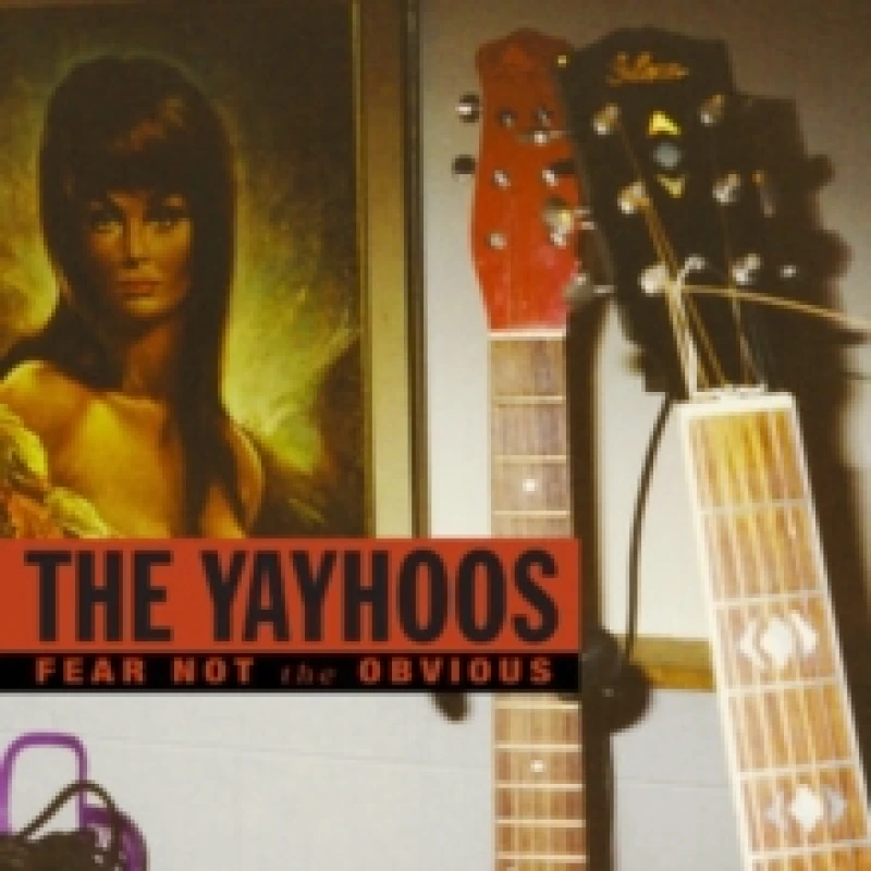 Image of Fear Not the Obvious Vinyl