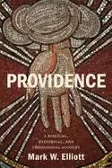Image of providence a biblical historical and theological account