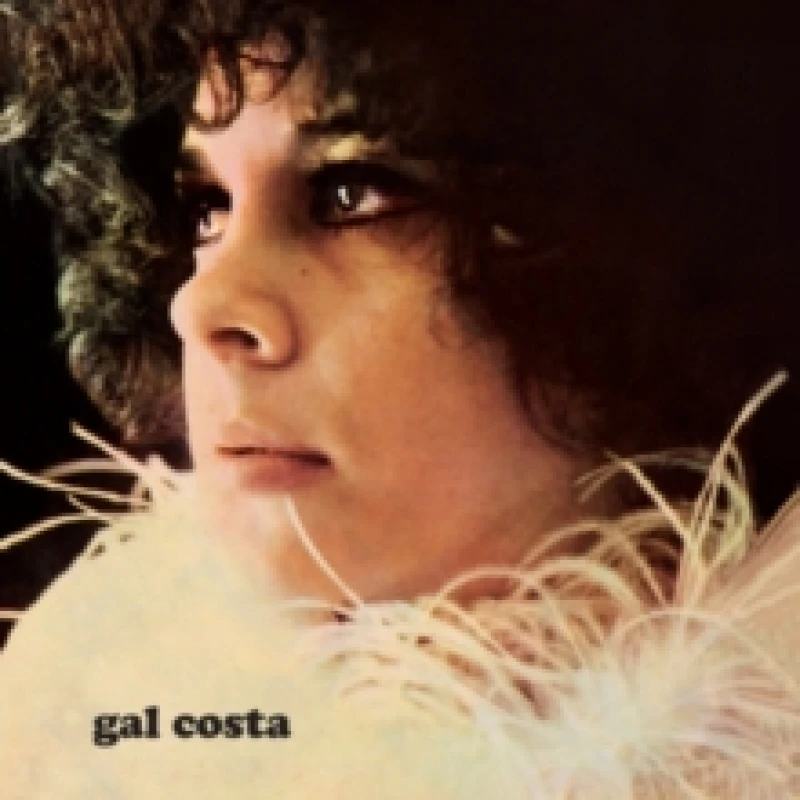Image of Gal Costa Vinyl