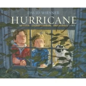 Image of Hurricane by David Wiesner