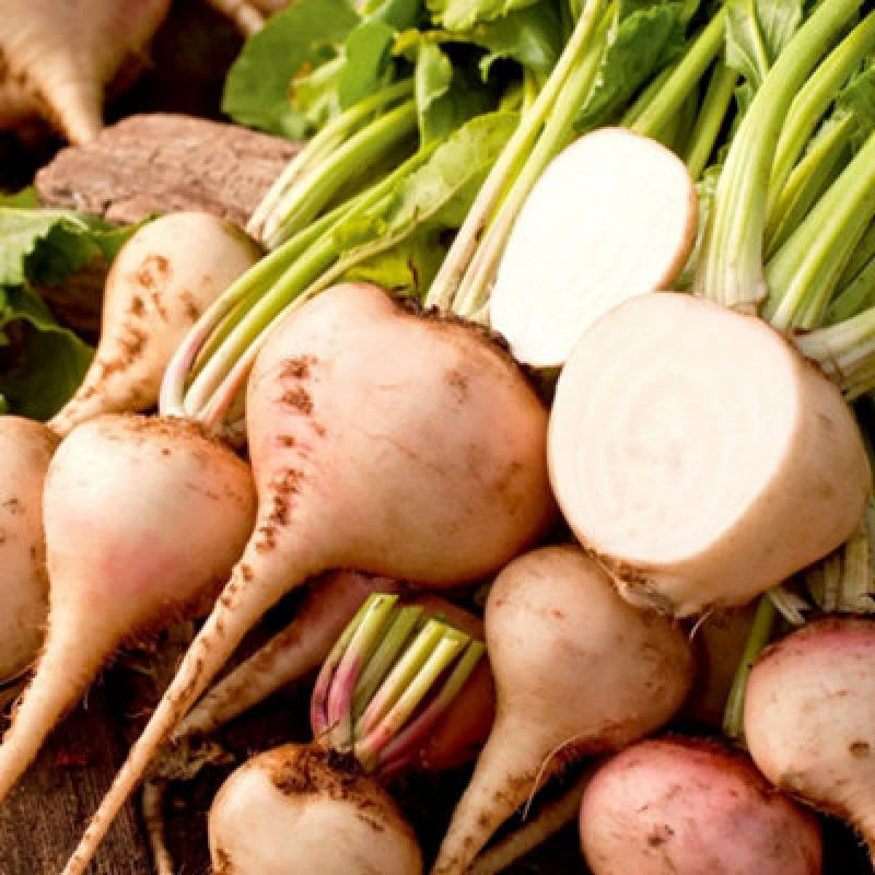 Image of Thompson & Morgan Beetroot Bulls Blood Seeds - Crimson Foliage & Edible Roots (90 Seeds) By T&m