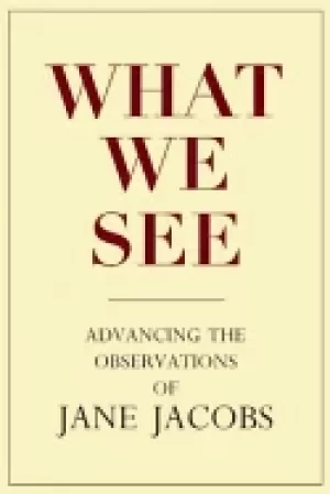 Image of what we see advancing the observations of jane jacobs