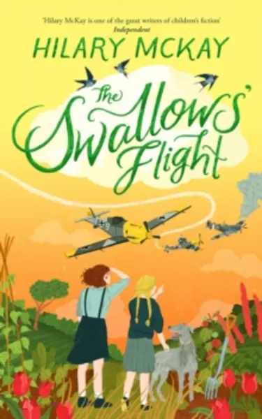 Image of swallows flight 9781529033335