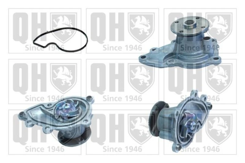 Image of QUINTON HAZELL Water pump QUINTON HAZELL QCP3787