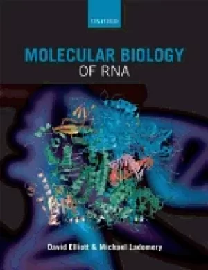 Image of molecular biology of rna