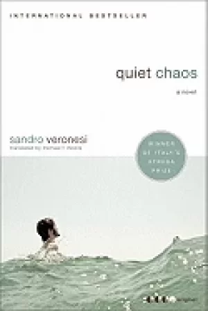 Image of quiet chaos a novel