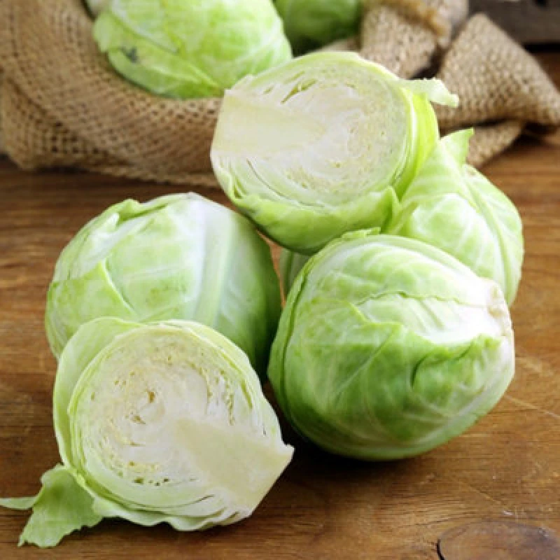 Image of Thompson & Morgan F1 Mozart Cabbage Seeds - Hardy Summer/autumn Vegetable High Yield Uniform Heads Drought-Tolerant 50 Seeds
