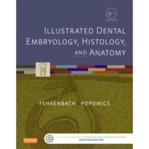 Image of Illustrated Dental Embryology, Histology, and Anatomy
