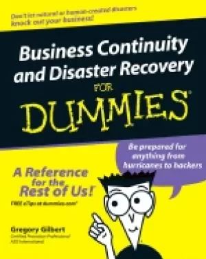 Image of it disaster recovery planning for dummies
