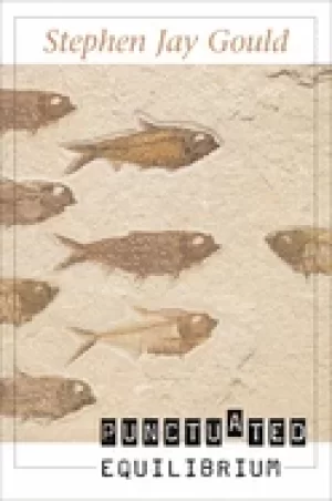 Image of punctuated equilibrium