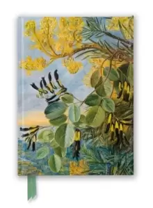 Image of Kew: Marianne North: Flowers of the Flame-Tree and Yellow and Black Twiner, West Australia (Foiled Journal)