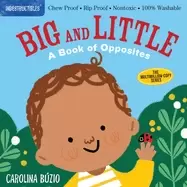 Image of big and little a book of opposites