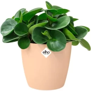 Elho Flower Pot Brussels Round Planter Plant Window Box Indoor Outdoor Plastic nude/1,4 Liter (de)