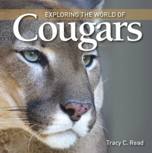 Image of Exploring the World of Cougars by Tracy C Read Hardback