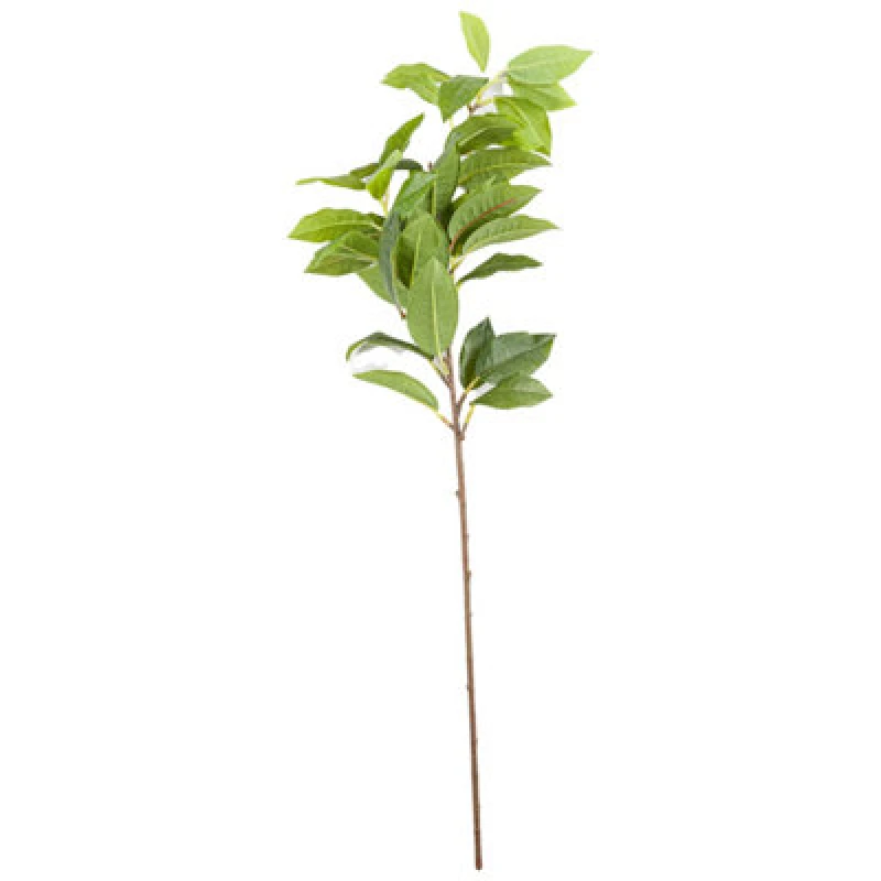 Image of Laurel Leaf Spray