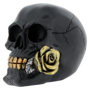 Image of Black Rose from the Dead Skull