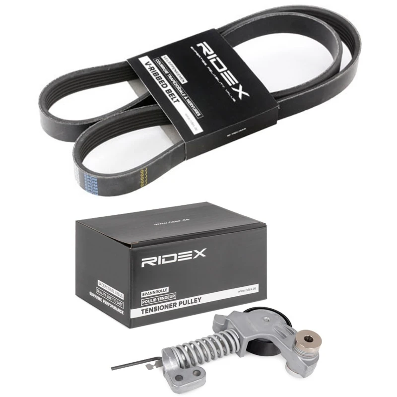 Image of RIDEX 542R1169 V-ribbed belt set V-Ribbed Belt Set (542)