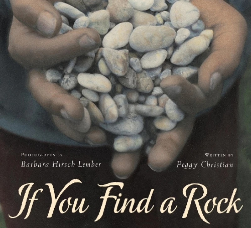Image of If You Find a Rock by Peggy Christian Paperback