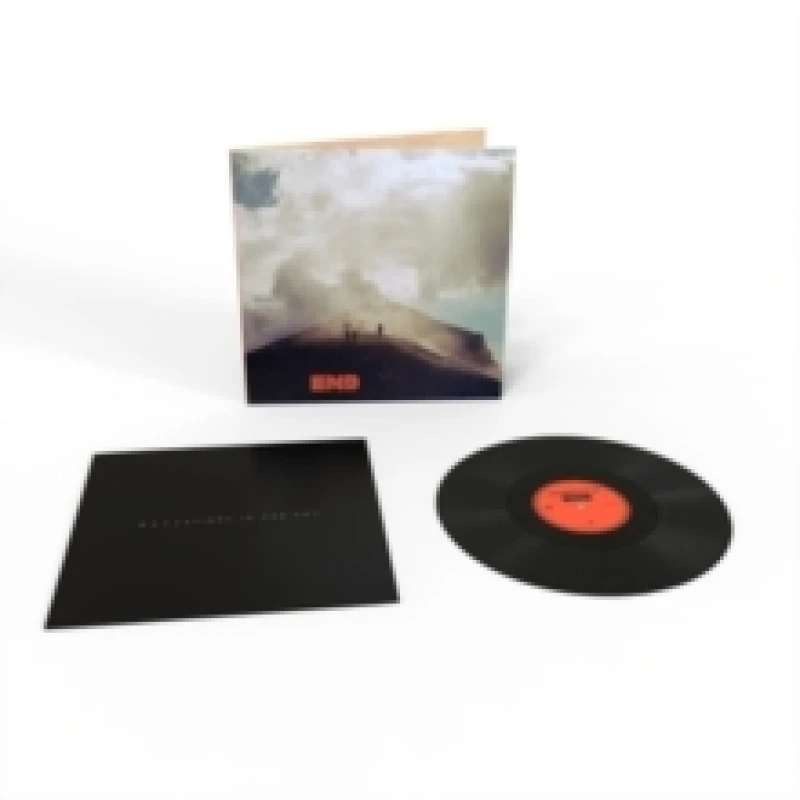 Image of End Vinyl
