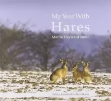 Image of My Year with Hares