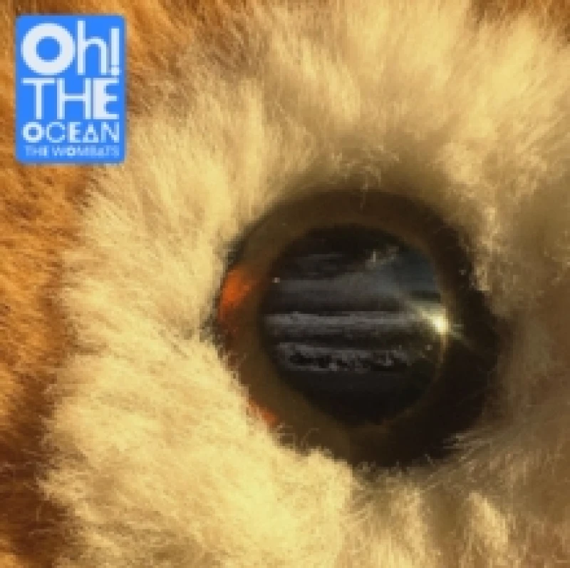 Image of The Wombats Oh! The Ocean CD multicolor Onesize Unisex