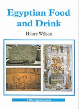 Image of Egyptian Food and Drink by Hilary Wilson Paperback