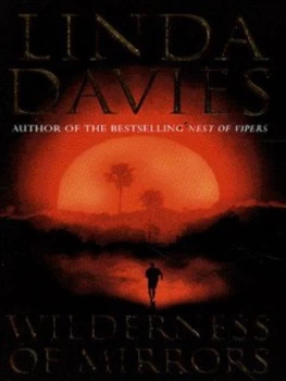 Image of Wilderness of Mirrors by Linda Davies Paperback