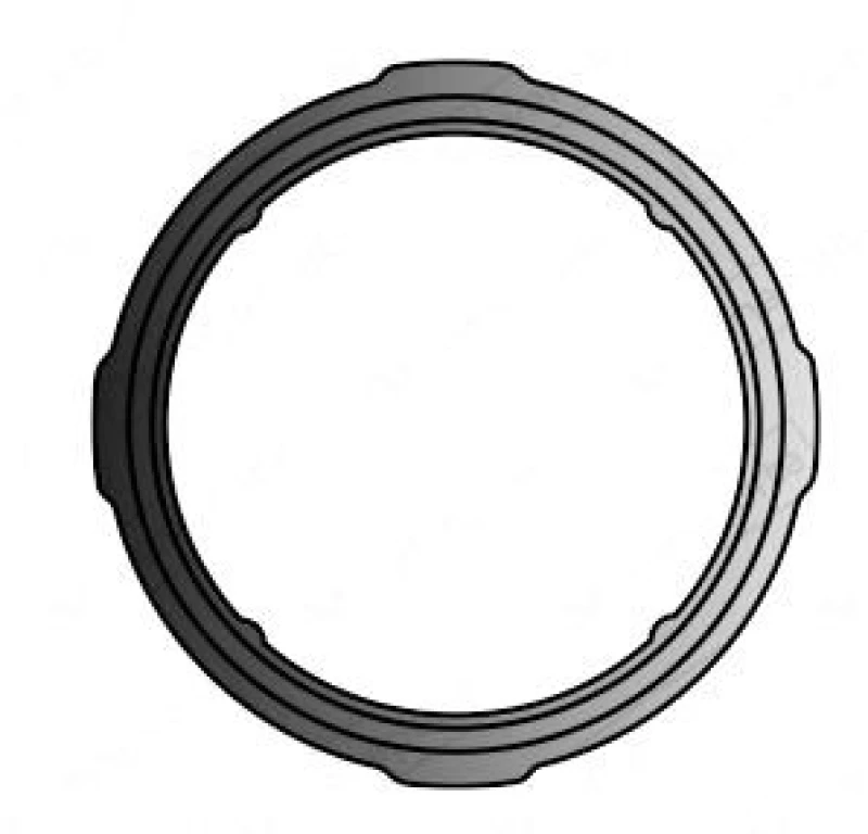 Image of Exhaust pipe gasket VEGAZ OD-206