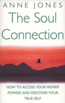 Image of The Soul Connection by Anne Jones Paperback