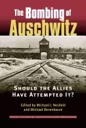 Image of bombing of auschwitz should the allies have attempted it