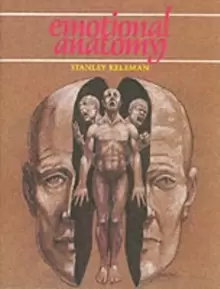 Image of Emotional Anatomy : The Structure of Experience