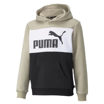 image of Puma Essential Colour Block Hoodie - Spray Green