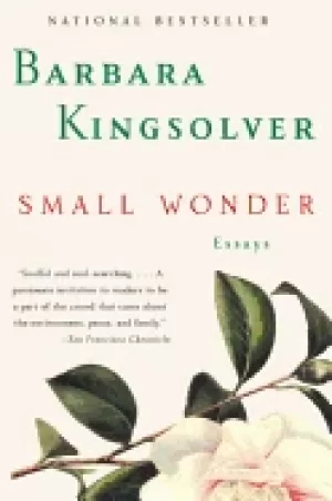 Image of small wonder essays