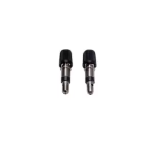 Image of Weldtite Woods Easy Pump Valves (x25)