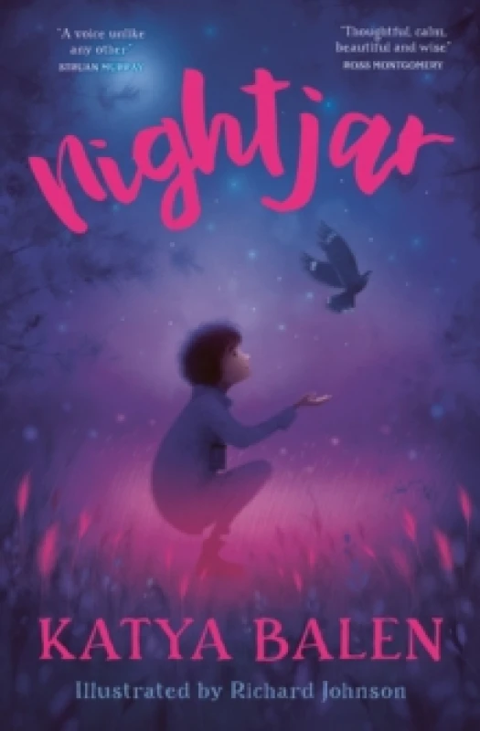 Image of Nightjar Paperback / softback