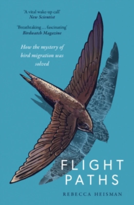 Image of Flight Paths : How the mystery of bird migration was solved Paperback / softback