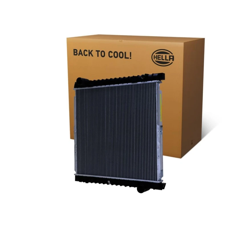 Image of HELLA Engine radiator HELLA 8MK 366 301-131