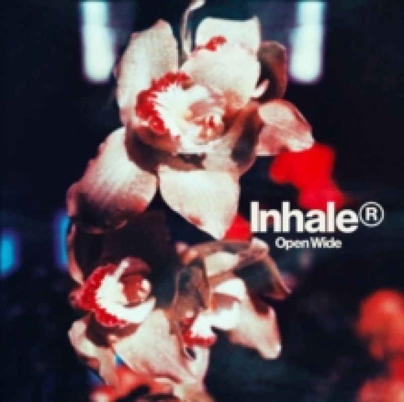 Image of Open Wide Vinyl