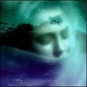 Image of nott eftir nott