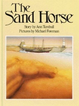 Image of The Sand Horse by Ann Turnbull and Michael Foreman Hardback