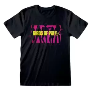 image of Birds Of Prey - Silhouette Unisex Small T-Shirt - Black