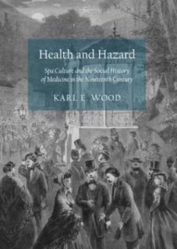 Image of Health and Hazard by Karl E Wood Hardback