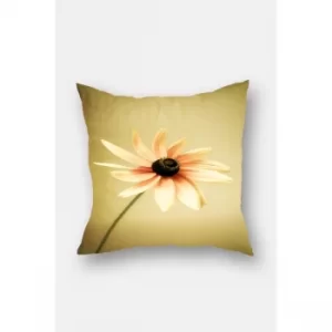 Image of YS346430352 Multicolor Cushion Cover